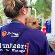 The Animal Foundation volunteer holding a dog during Clear the Shelters Day