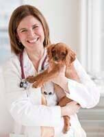 Neutering puppy