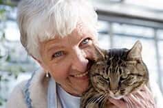 aging cat