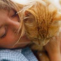 Cat Image