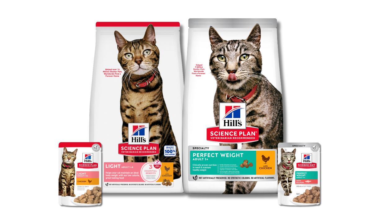 Science light and perfect weight cat food