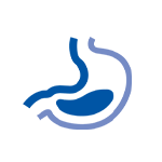 digestion blue icon