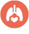 Vital Organs Icon