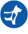 Muscle Icon