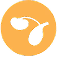Urinary Health Icon