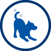 Energy icon