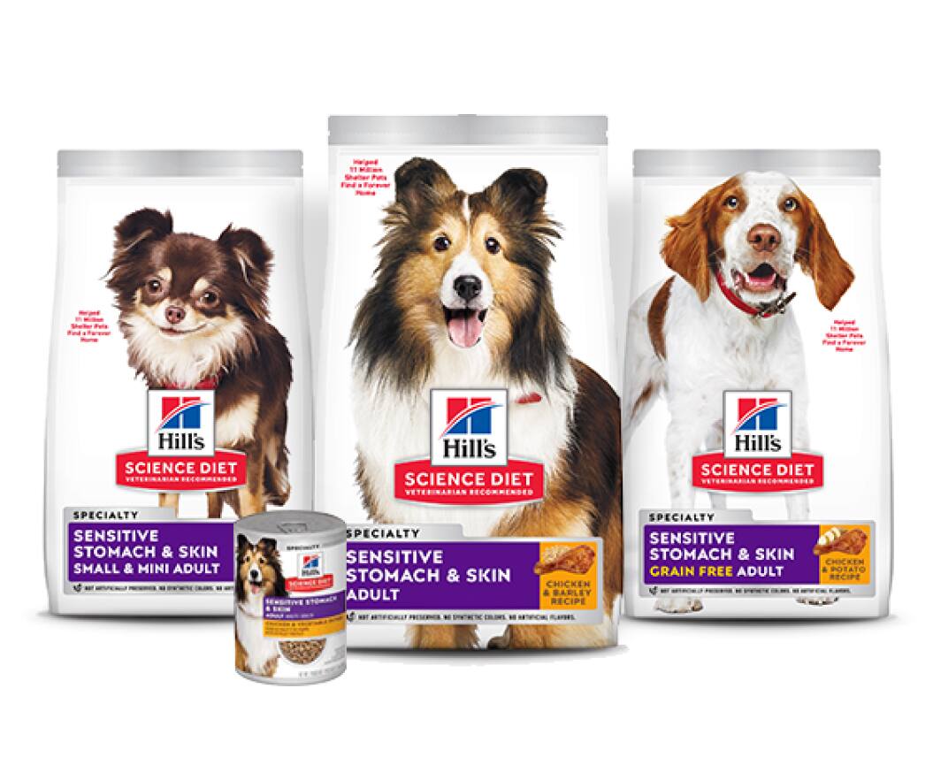 Digestive health dog foods